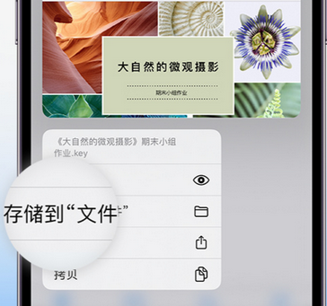 滨海apple维修中心分享iPhone文件应用中存储和找到下载文件