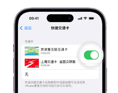 滨海apple维修点分享iPhone上更换Apple Pay快捷交通卡手绘卡面 