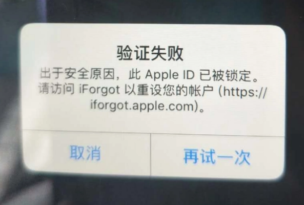 滨海iPhone维修分享iPhone上正常登录或使用AppleID怎么办 