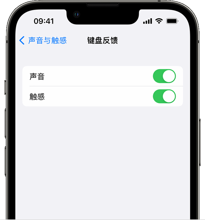 滨海苹果14维修店分享如何在 iPhone 14 机型中使用触感键盘 