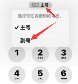 滨海苹果14维修店分享iPhone 14 Pro Max使用副卡打电话的方法 