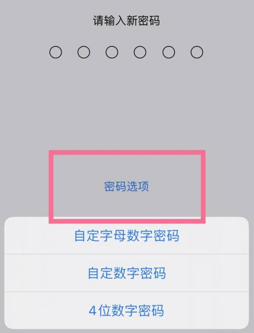 滨海苹果14维修分享iPhone 14plus设置密码的方法 