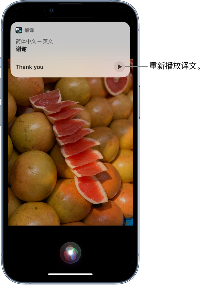 滨海苹果14维修分享 iPhone 14 机型中使用 Siri：了解 Siri 能帮你做什么 