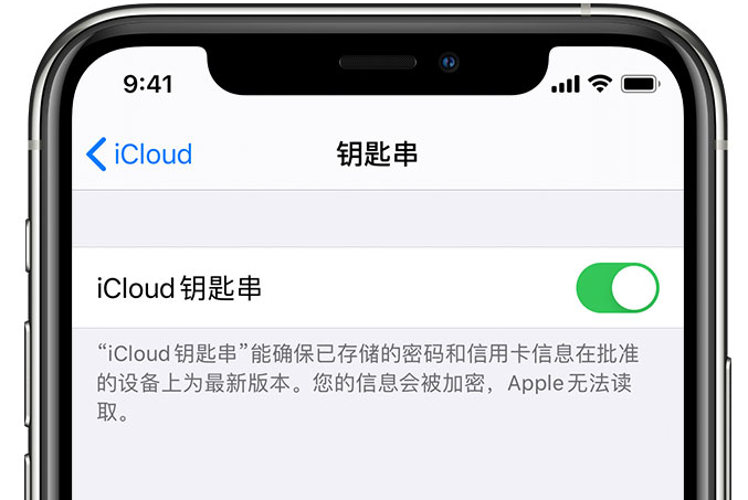 滨海苹果手机维修分享在 iPhone 上开启 iCloud 钥匙串之后会储存哪些信息 