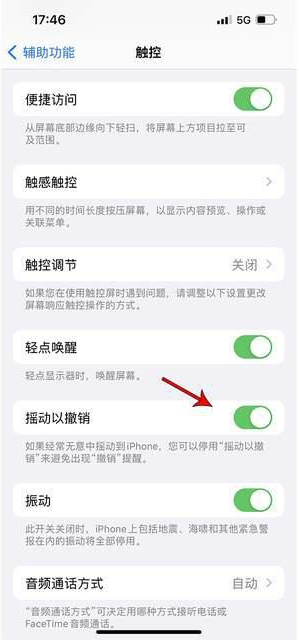 滨海苹果手机维修分享iPhone手机如何设置摇一摇删除文字 