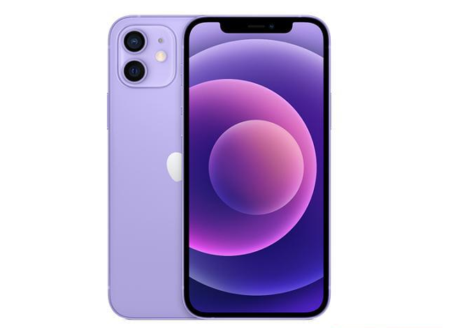 滨海苹果手机维修分享现阶段要不要入手紫色版iPhone12 